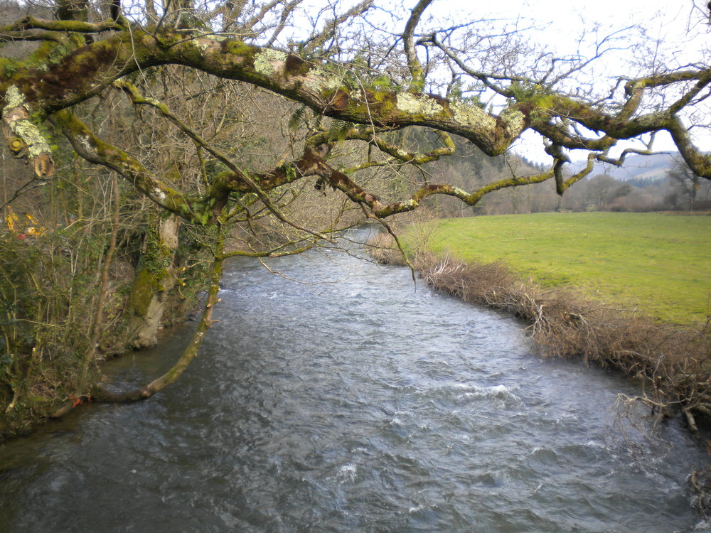 A view of Perry Beat upstream from Perry Bridge towards a productive pool
